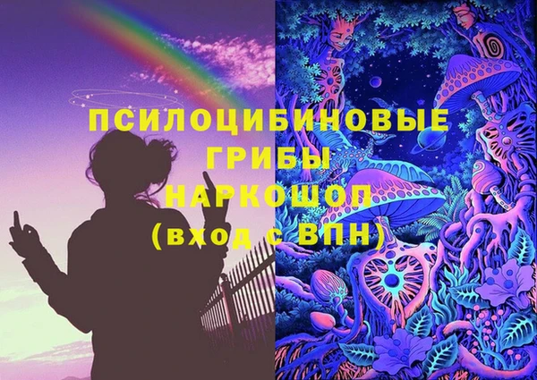 spice Куйбышев