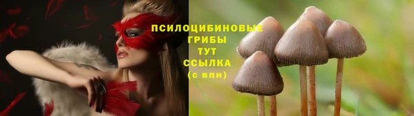 стафф Лагань