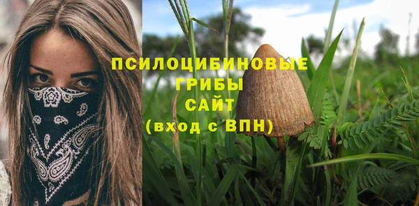 spice Куйбышев