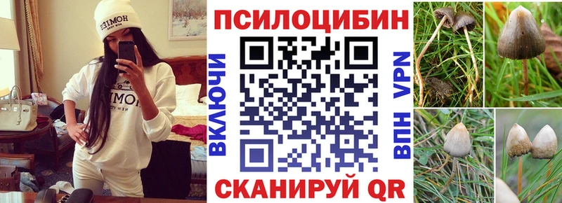 Галлюциногенные грибы мухоморы  Электросталь 