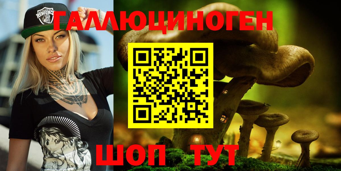 Электросталь  Галлюциногенные грибы MAGIC MUSHROOMS  Вход с VPN 