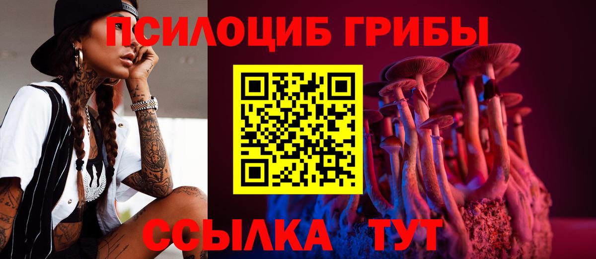 где можно купить наркотик  Галлюциногенные грибы Psilocybine cubensis  Электросталь  Псилоцибиновые грибы Cubensis 