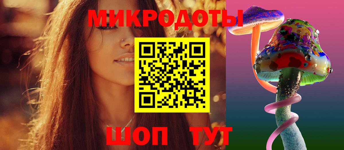 Псилоцибиновые грибы Psilocybine cubensis Электросталь