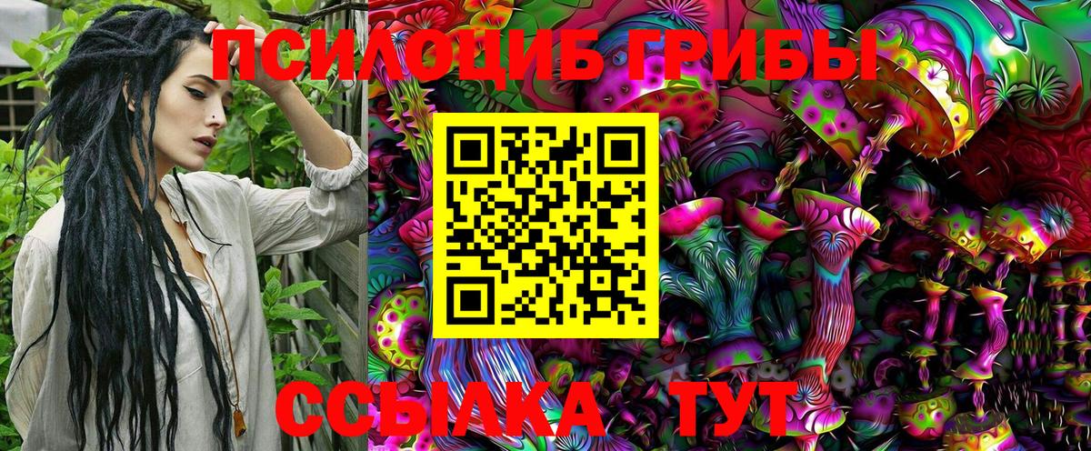 Галлюциногенные грибы мицелий Электросталь